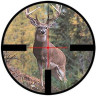 Оптический прицел LEUPOLD VX-3 3,5-10X50MM METRIC MATTE BLACK ILLUMINATED GERMAN-4 DOT 66650